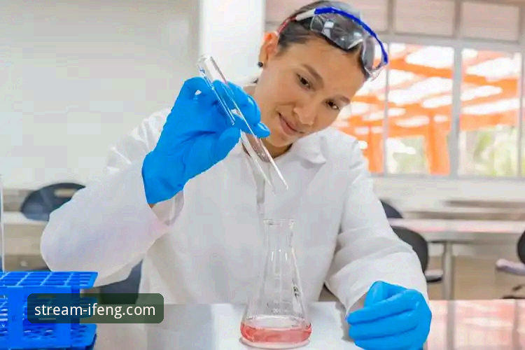 凤凰体育安全吗 深度揭秘:凤凰体育平台安全吗?一个技术评测员的真实分析